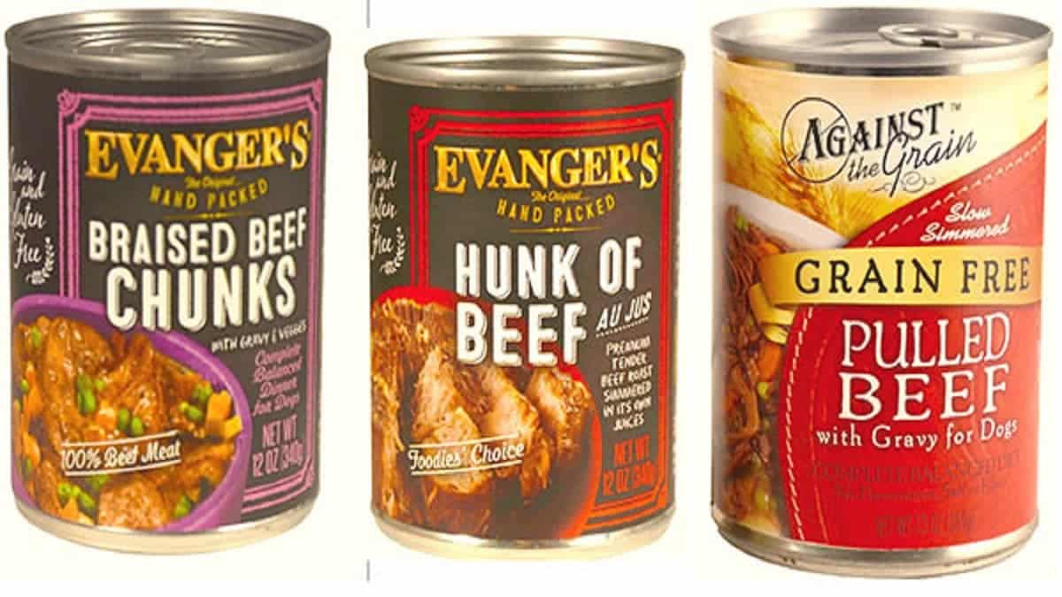 Best Canned Wet Food for Golden Retrievers