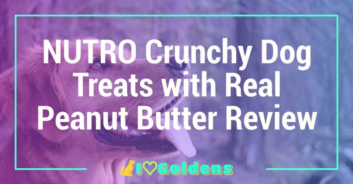 NUTRO Crunchy Dog Treats with Real Peanut Butter Review
