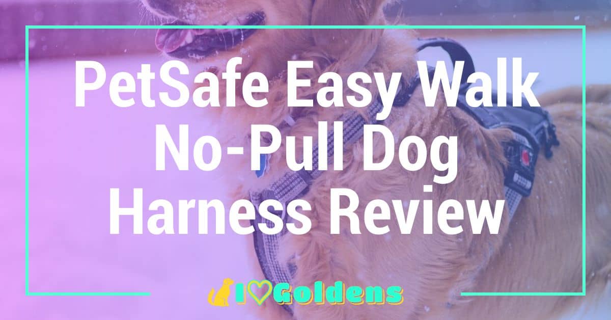 PetSafe Easy Walk No-Pull Dog Harness Review