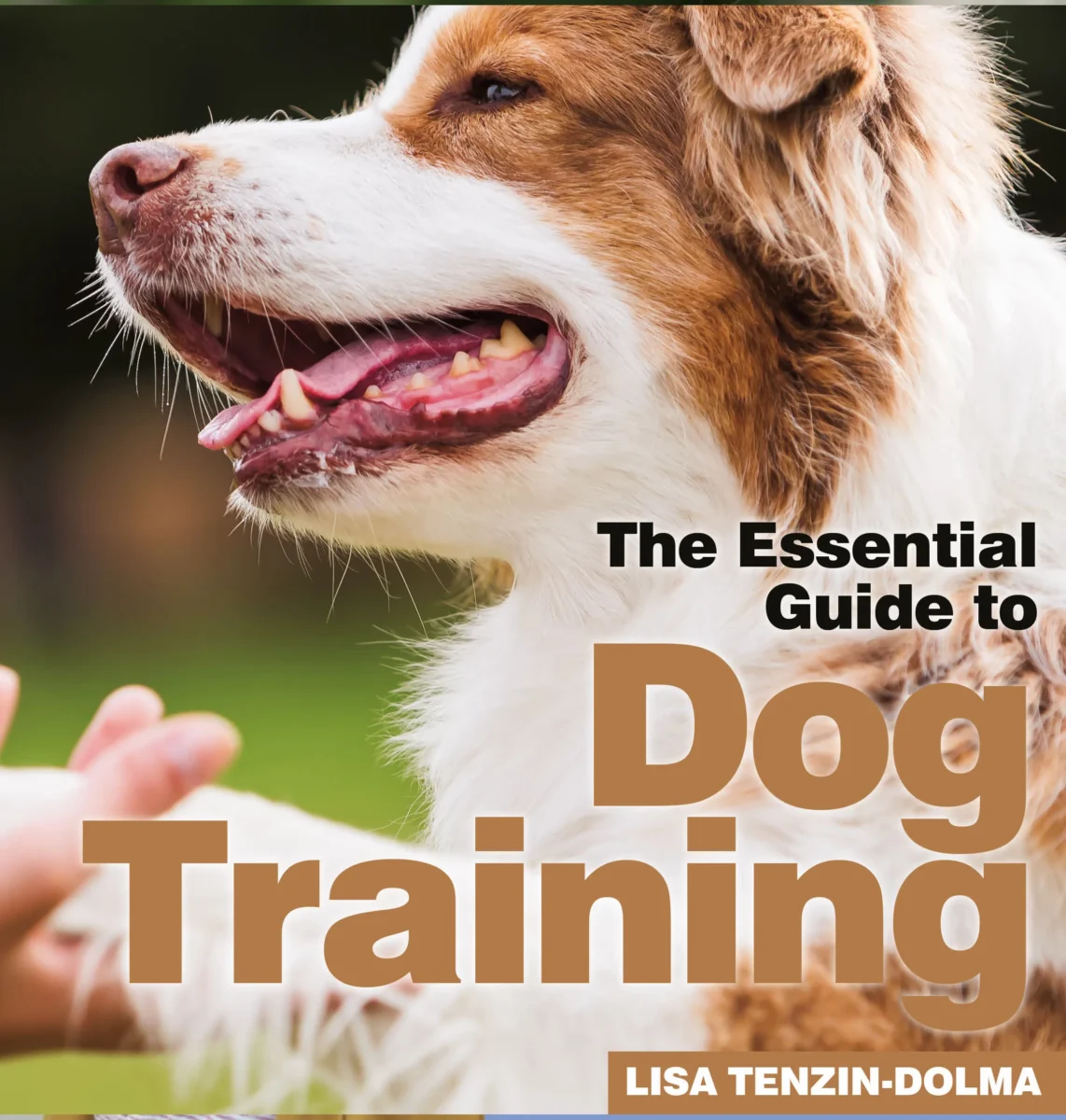 A Pro Trainer’s Guide to Creating Your Dream Dog: Essential Training Tips for New Owners