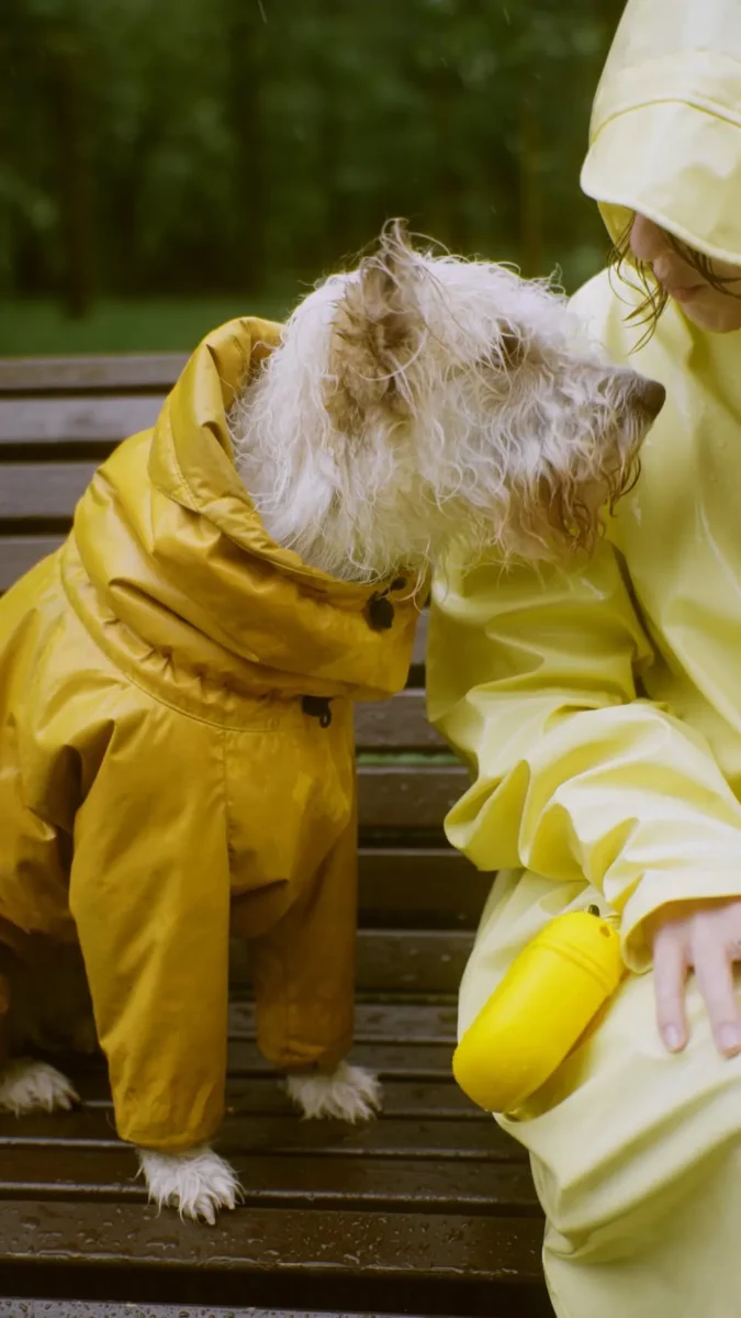 best dog raincoat