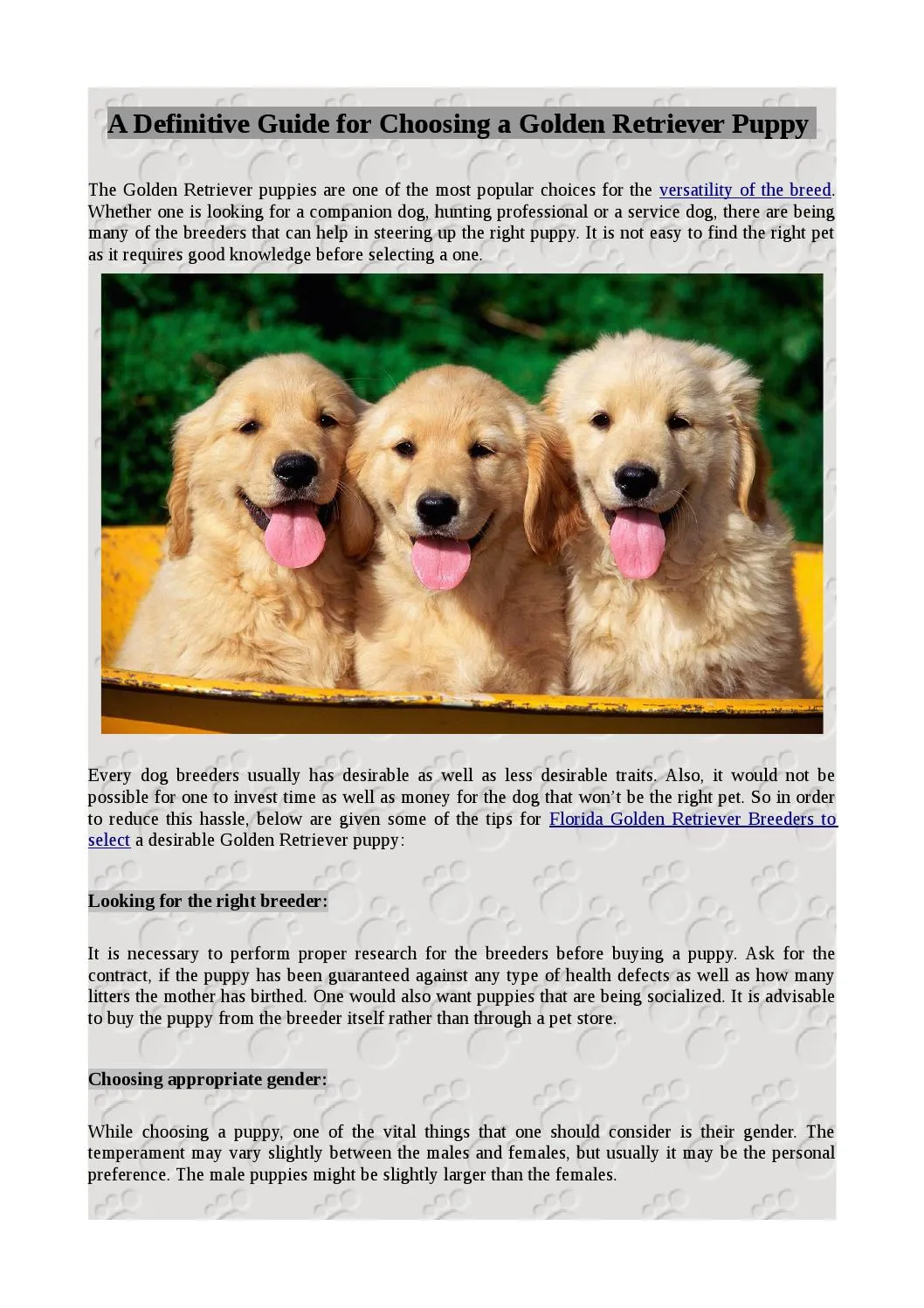 Finding the Perfect Golden Retriever: A Guide to Choosing a Reputable Breeder and Healthy Pup