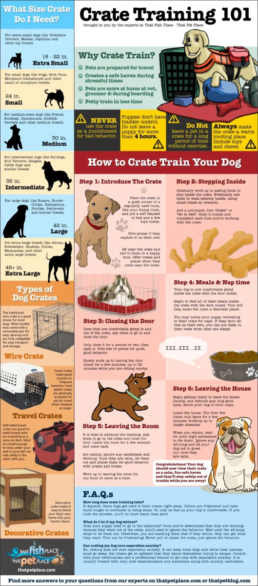 the benefits of crate training a dog or puppy