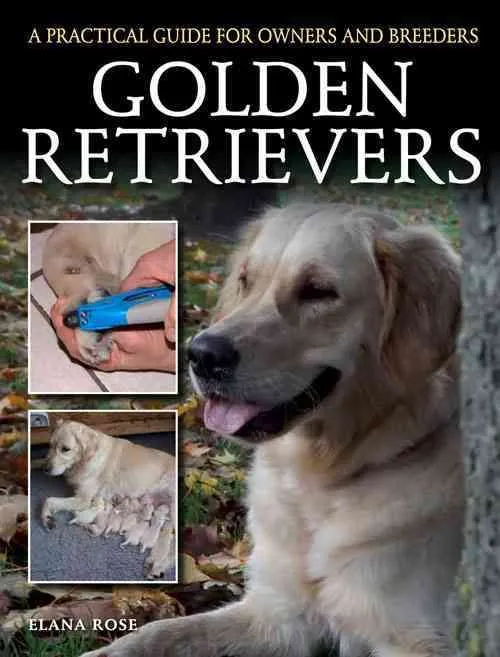 The Ultimate Guide to Golden Retriever Rescue in Oregon: Tips and Success Stories for New Dog Owners