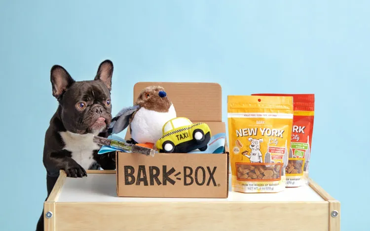 Unleashing the Joy of BarkBox for Golden Retriever Owners: A Comprehensive Review