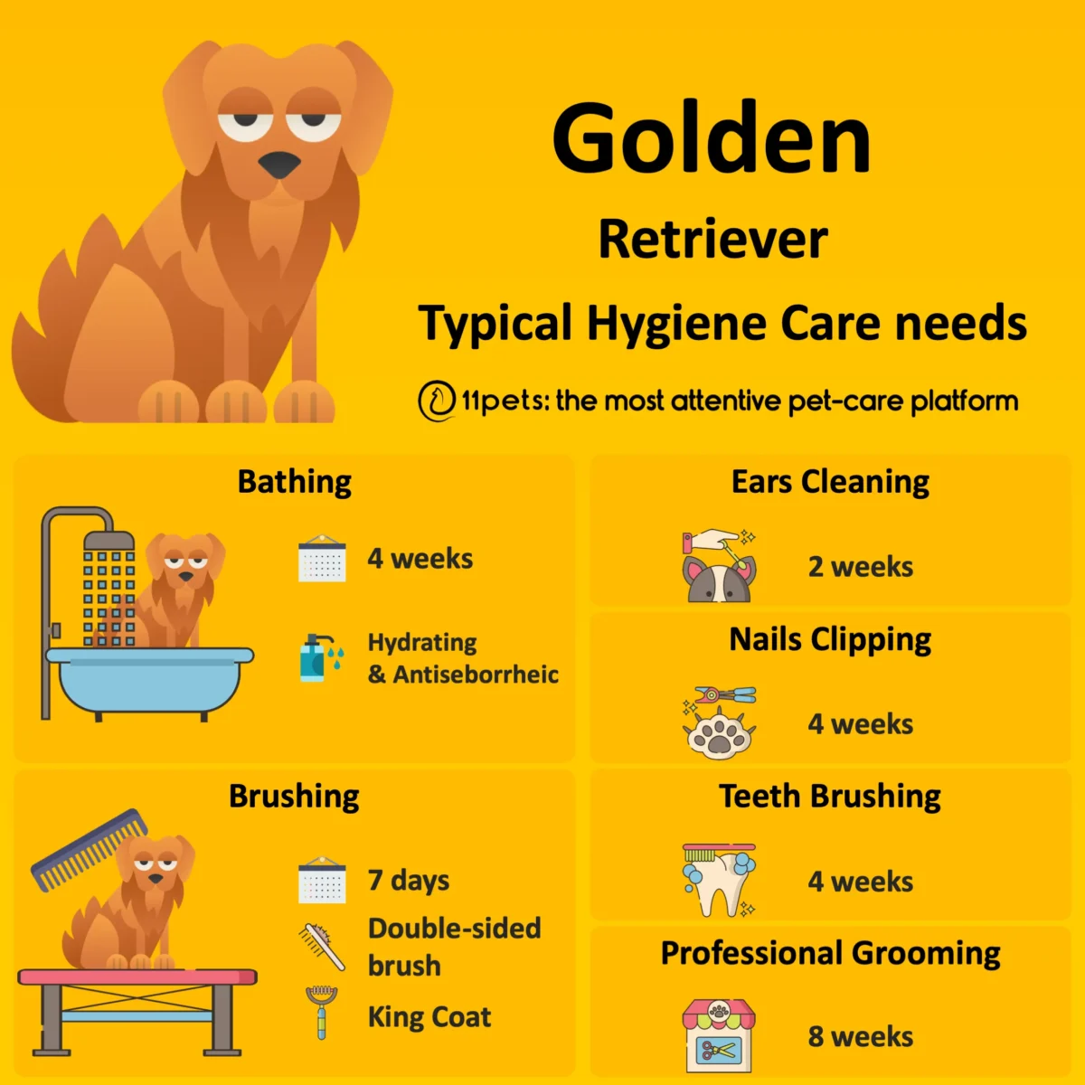 The Ultimate Guide to Caring for Your New Golden Retriever Puppy: Tips from an Experienced Dog Trainer