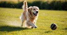 Image showcasing How Much Do Golden Retrievers Shed? Discover the Secrets to Managing ...